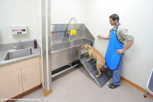 Saratoga County Animal Shelter Laundry Room Dog Bath