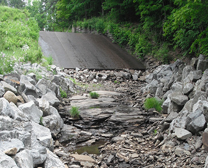 Market - City of Oneonta Water Supply Dams