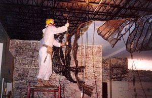 asbestos expert removing hazardous material